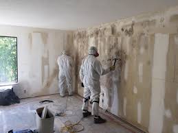 Best Attic Mold Removal  in Garden Ridge, TX